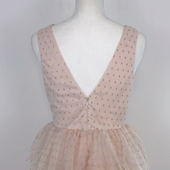 Lulu’s Blush Pink with Gold Dots Tiered Sleeveless Tulle Mini Dress. Size Small - Picture 7 of 12